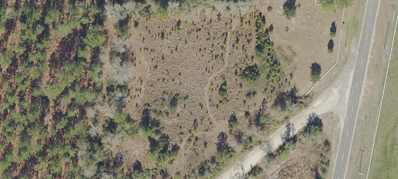 Earleton, FL 32631