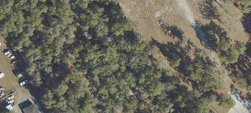 Salt Springs, FL 32134