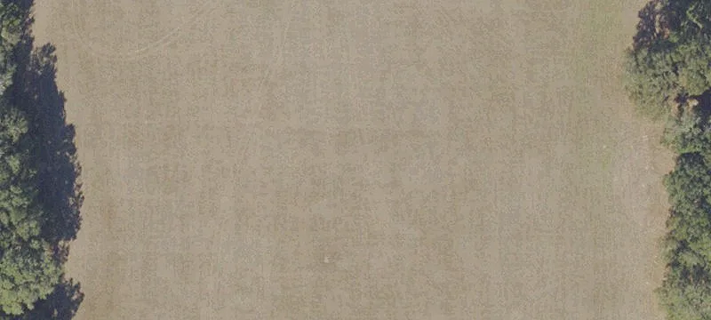 Citra, FL 32113