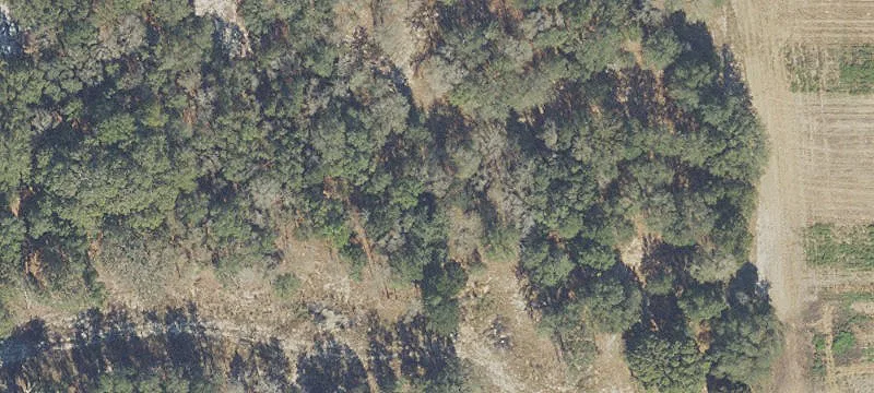Newberry, FL 32669