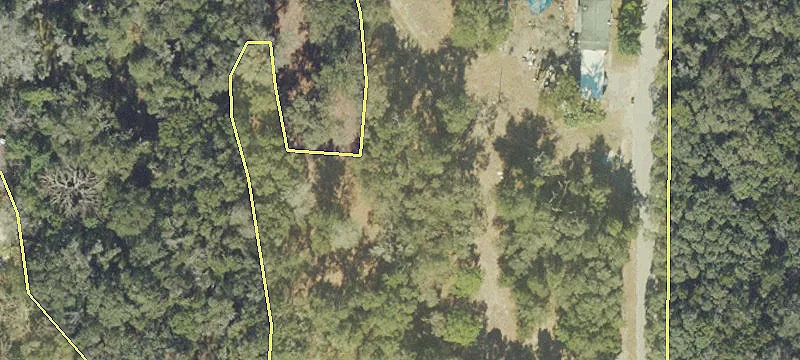 31543 Mt Plymouth Loop