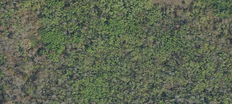 Holiday, FL 34691