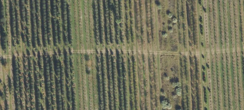 Alachua, FL 32615
