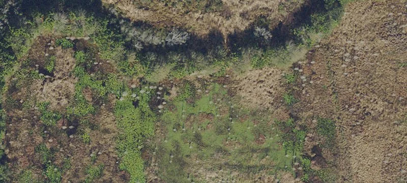 Lutz, FL 33548