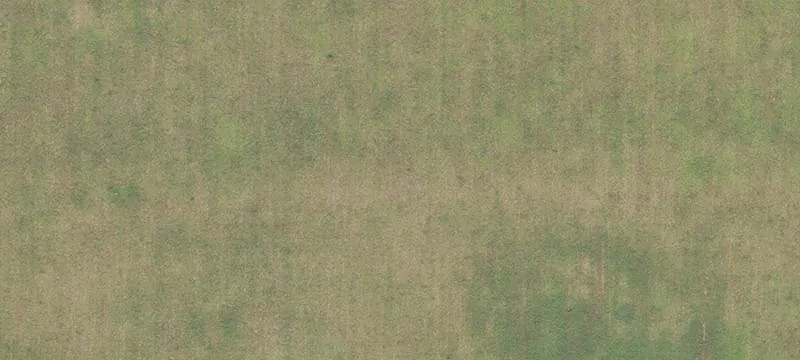 High Springs, FL 32643