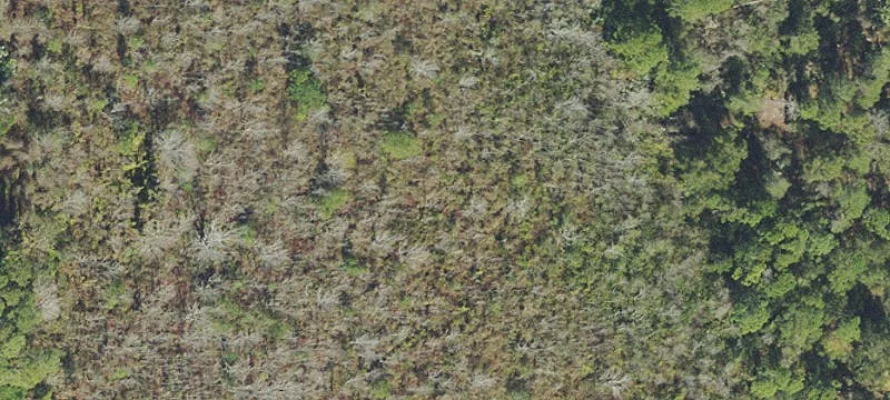 Cocoa, FL 32926