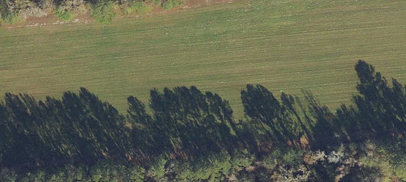 Alachua, FL 32615