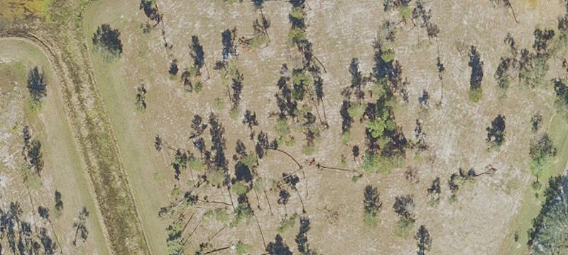 Titusville, FL 32780