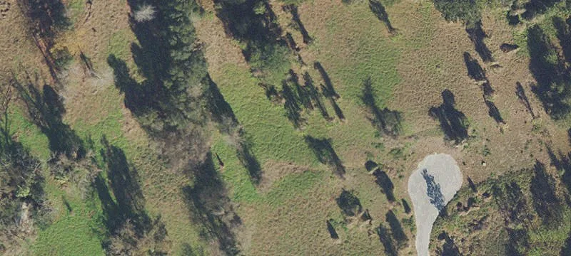 Alachua, FL 32615