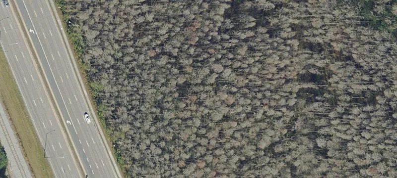 Lutz, FL 33549