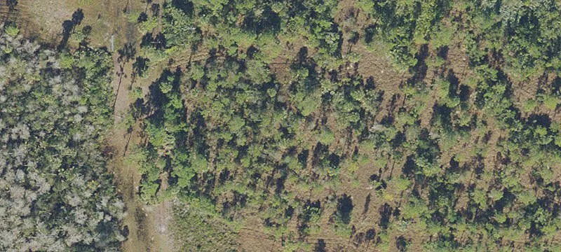 Malabar, FL 32950