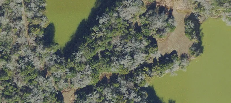 Ocala, FL 34475