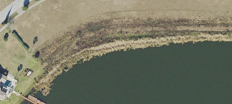 Bolsena Dr