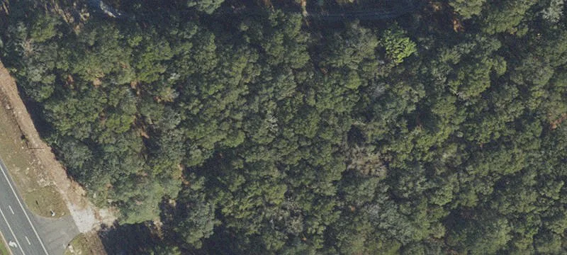 Chiefland, FL 32626