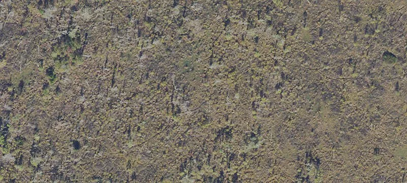 Hawthorne, FL 32640