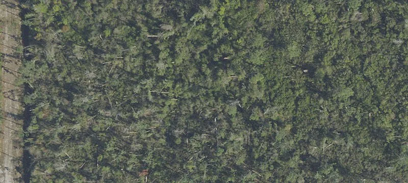 Panama City, FL 32405
