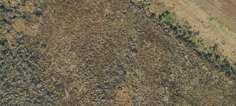 Lithia, FL 33547
