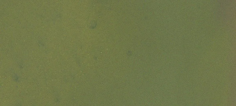 Merritt Island, FL 32952
