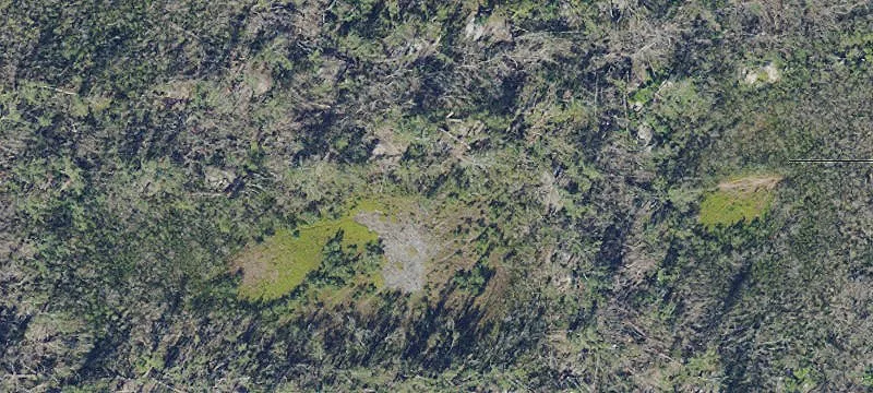 Bokeelia, FL 33922
