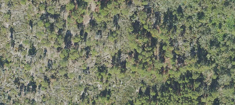 Melbourne, FL 32940