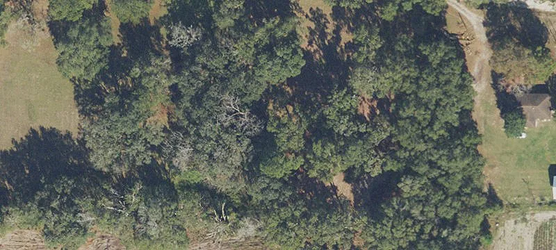Archer, FL 32618
