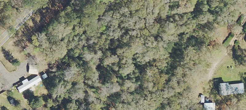Jay, FL 32565