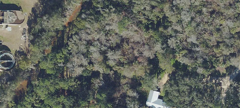 Bunnell, FL 32110