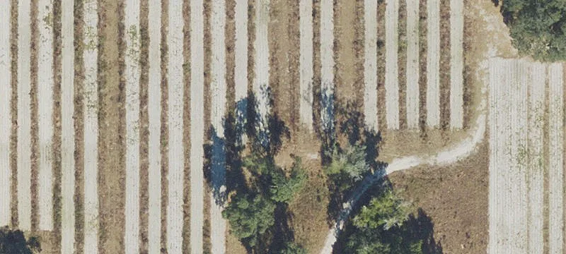 Live Oak, FL 32060