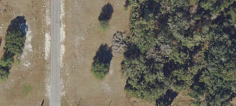 Bushnell, FL 33513