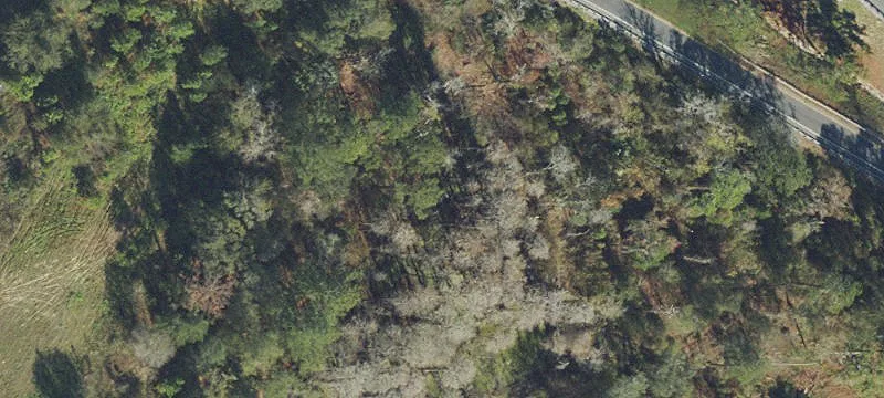 Live Oak, FL 32060