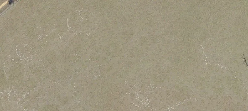 Weirsdale, FL 32195