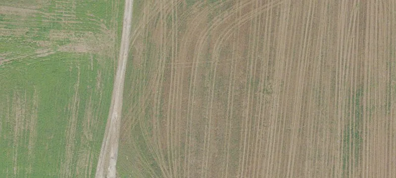 Hawthorne, FL 32640