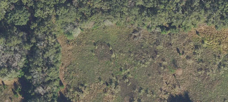 Archer, FL 32618