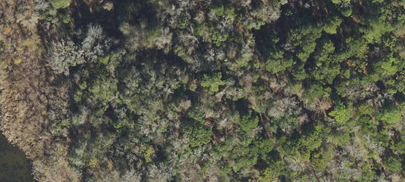 Live Oak, FL 32060