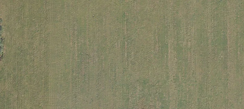 Newberry, FL 32669