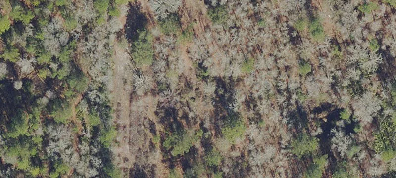 Gainesville, FL 32609