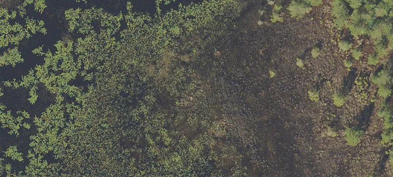Umatilla, FL 32784