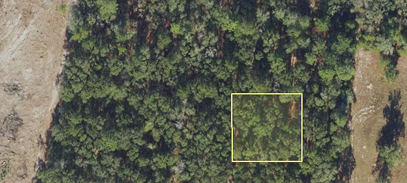 White Springs, FL 32096