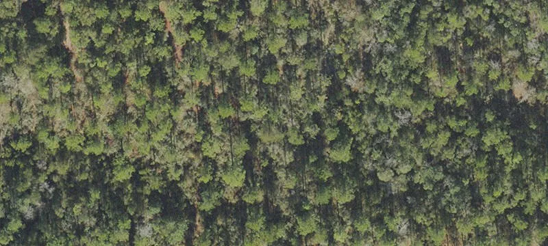 Defuniak Springs, FL 32435