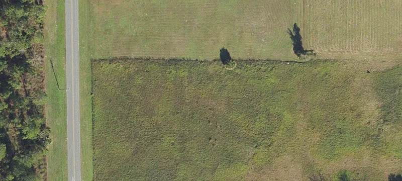 Live Oak, FL 32064