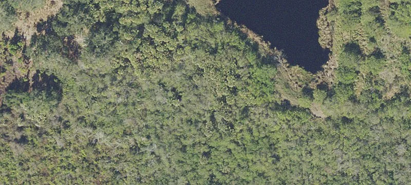 Rockledge, FL 32955