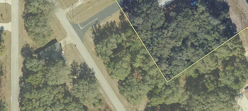 Summerfield, FL 34491