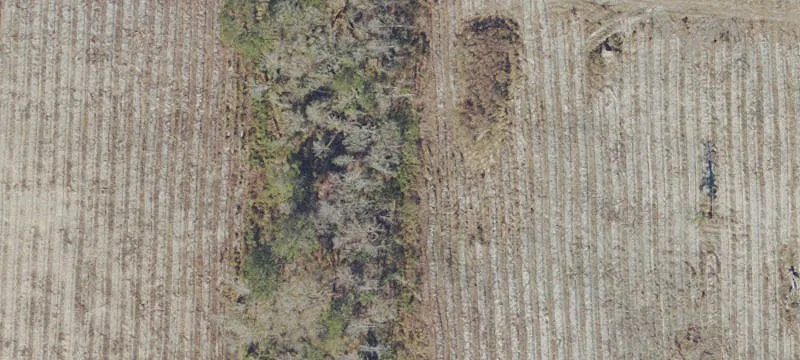 18770 County Rd 225