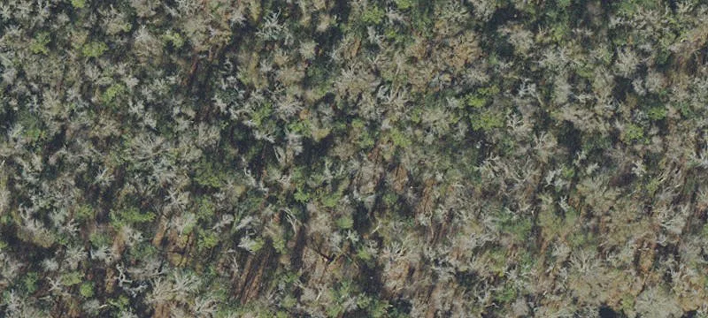 Hosford, FL 32334