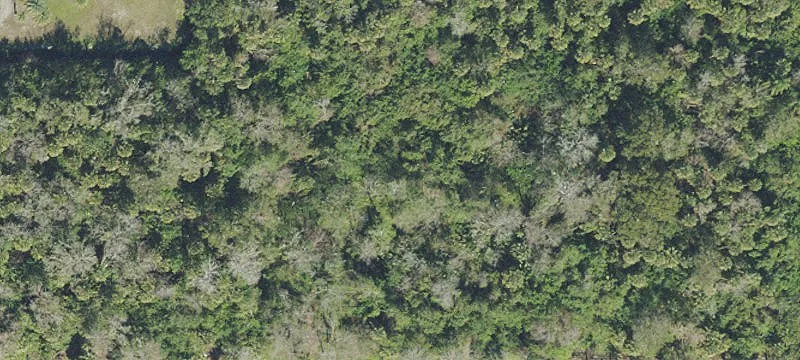 Cocoa, FL 32926
