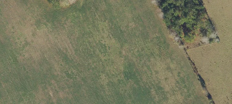 High Springs, FL 32643
