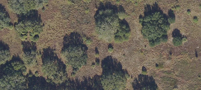 Riverview, FL 33578