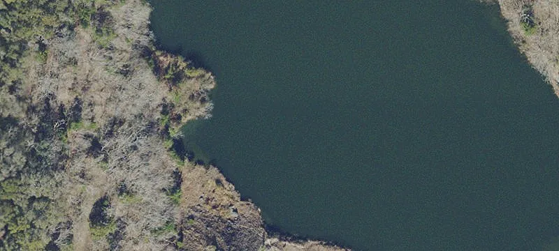 Reddick, FL 32686