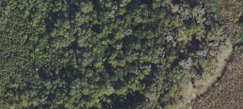 Ocala, FL 34473