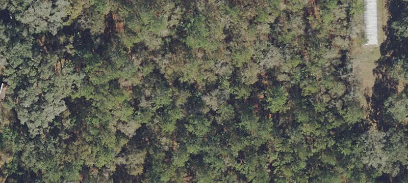 Silver Springs, FL 34488